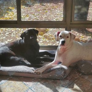 Meet your Posher, Kevin